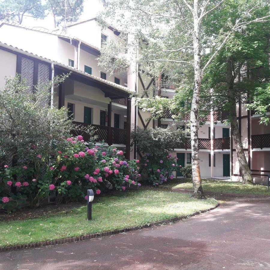 Moliets Plage Appartement Pour 4 Piscine Proche Plage Et Commerces ภายนอก รูปภาพ
