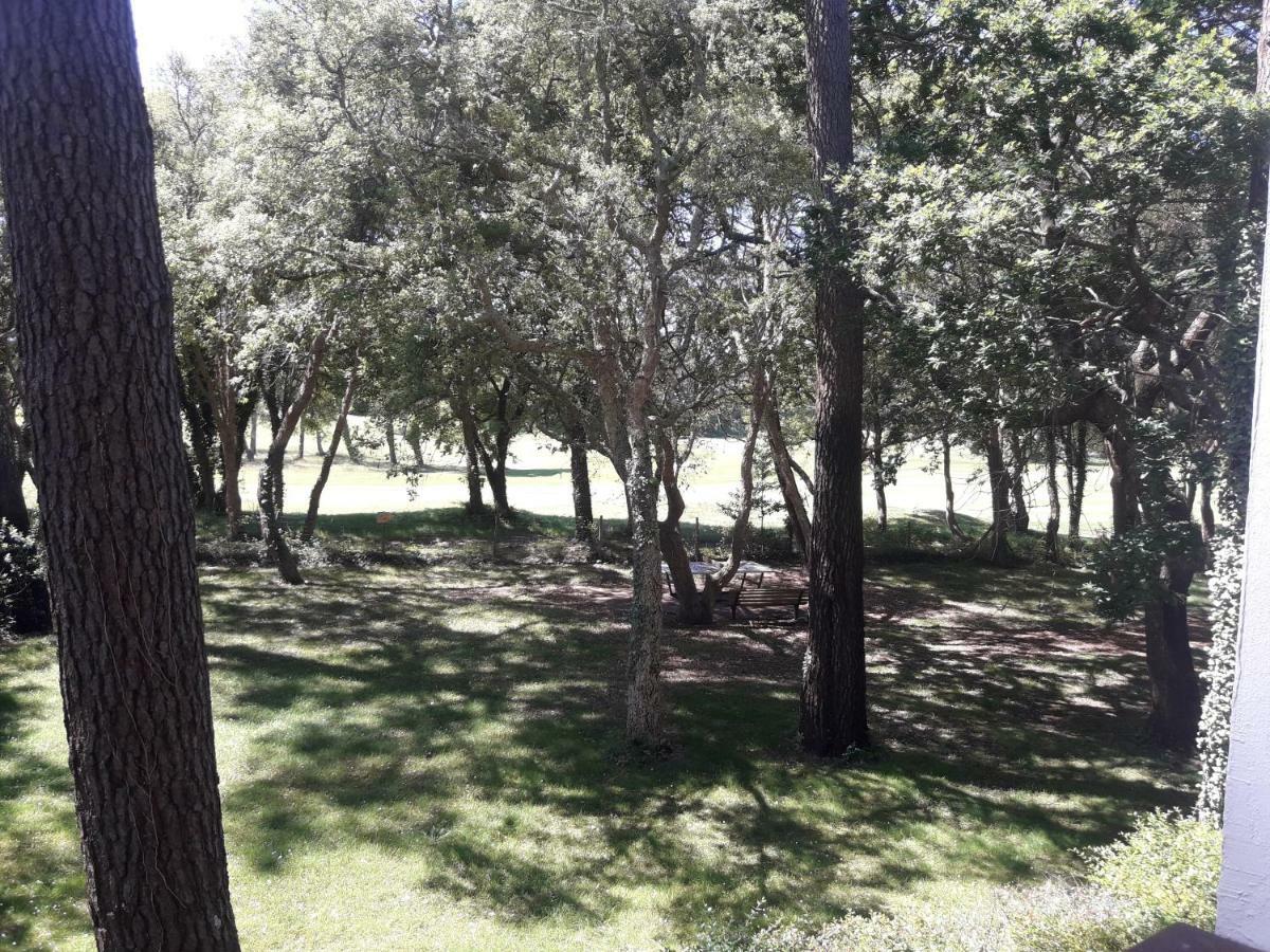 Moliets Plage Appartement Pour 4 Piscine Proche Plage Et Commerces ภายนอก รูปภาพ